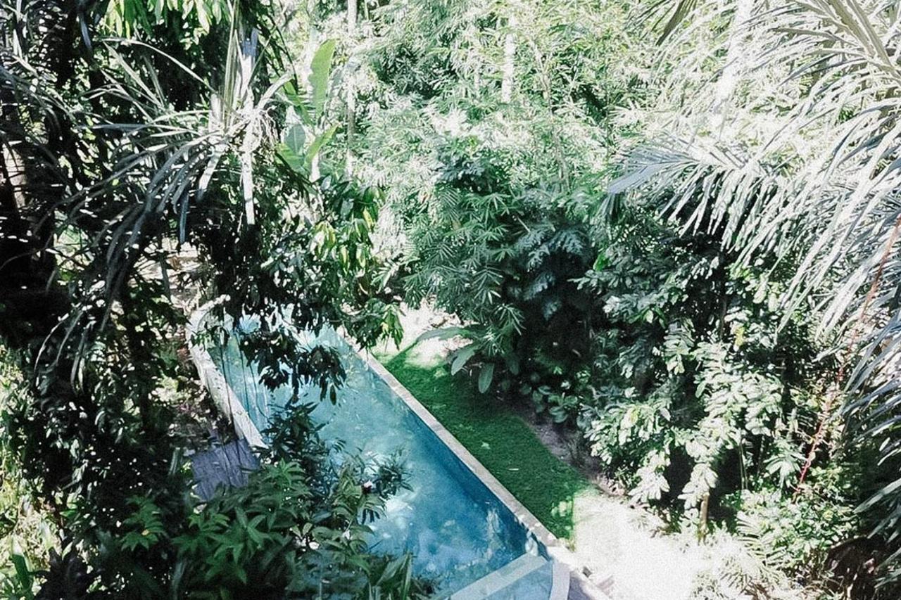 Shanti Toya Ashram Mambat Dış mekan fotoğraf